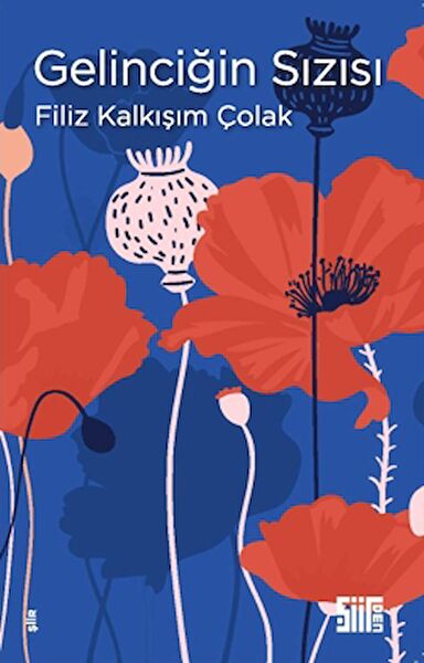 Şiirden Yayıncılık Edebiyat Kuramı