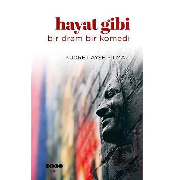 Hece Yayınları Roman