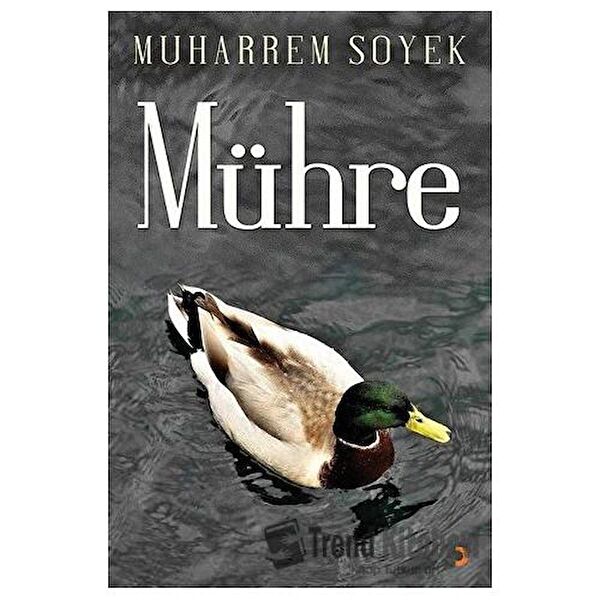 Cinius Yayınları Şiir