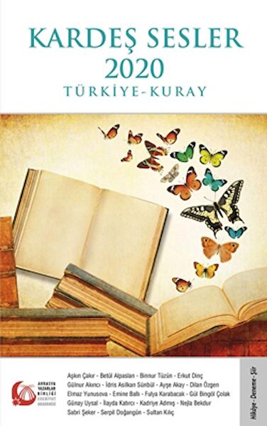 Bengü Yayınları Deneme, İnceleme