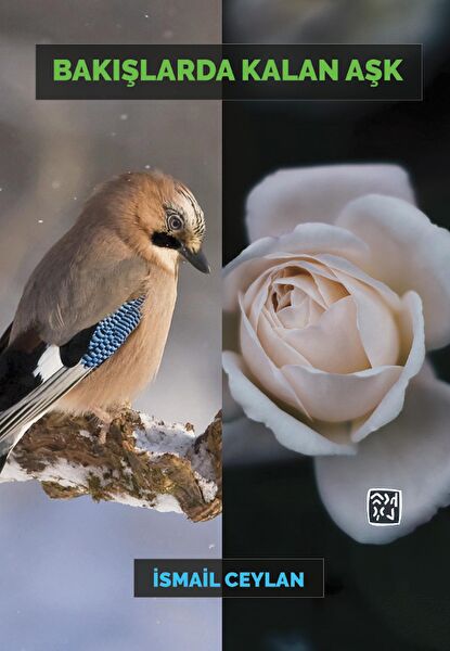 Kutlu Yayınevi Şiir