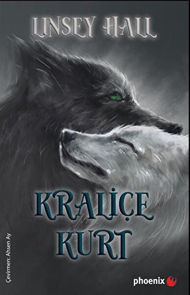 Phoenix Yayınevi Roman