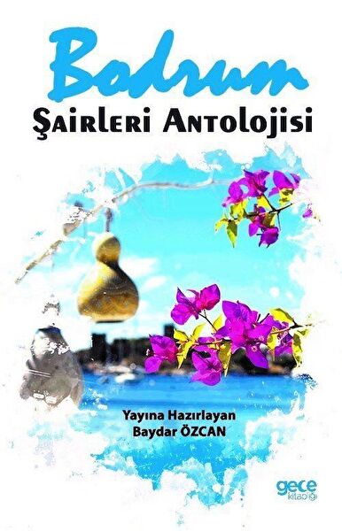 Gece Kitaplığı Şiir