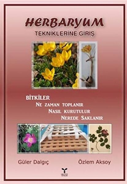 Umuttepe Yayınları Bilim ve Teknik