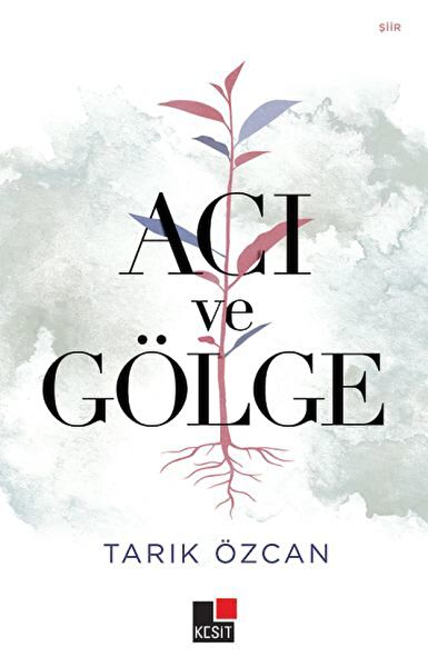 Kesit Yayınları Roman