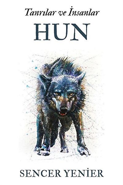 Cinius Yayınları Roman