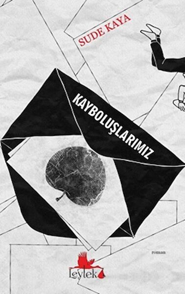 Kırmızı Leylek Yayınları Roman