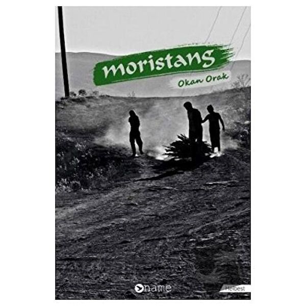 Name Yayınları Şiir