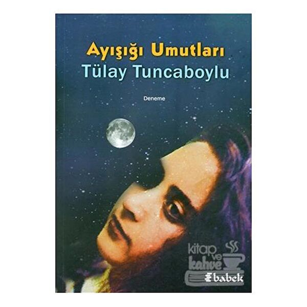 Babek Yayınları Deneme, İnceleme