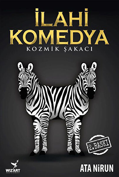 Wizart Yayınları Hobi Kitapları