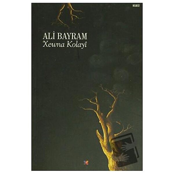 Lis Basın Yayın Deneme, İnceleme