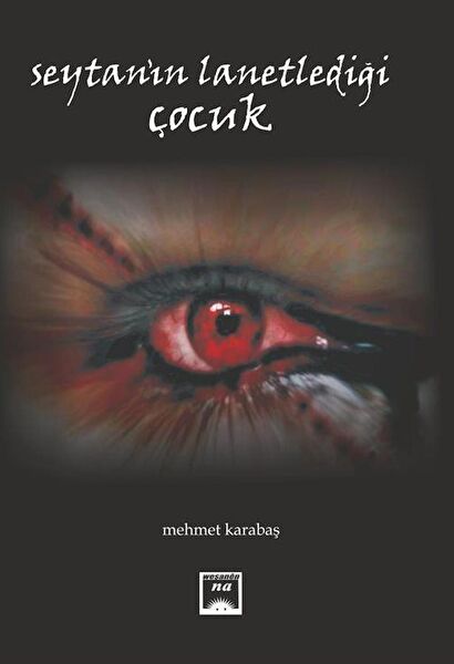 Na Yayınları Roman