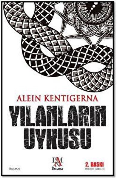 Panama Yayınevi Roman