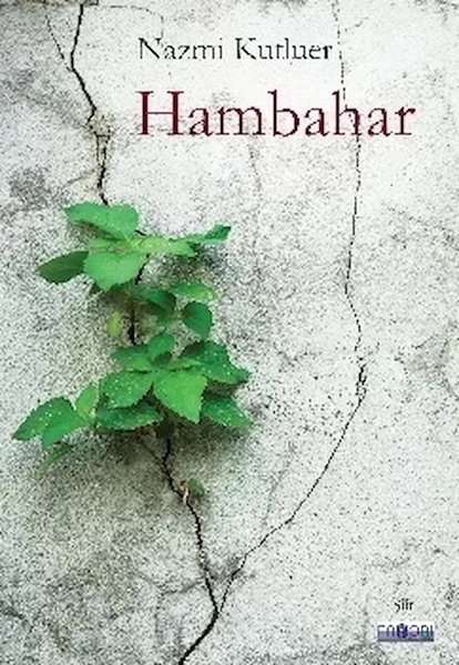 Favori Yayınları Şiir Kitapları