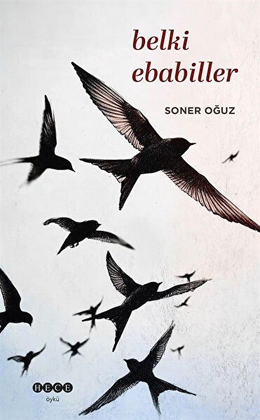 Hece Yayınları Roman