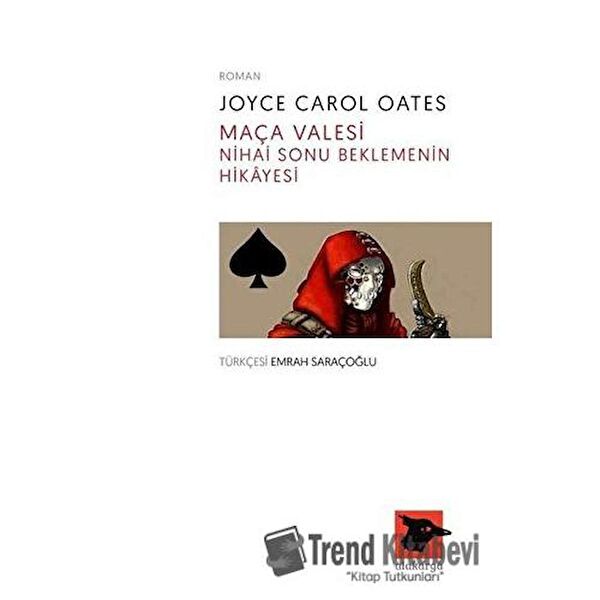 Alakarga Sanat Yayınları Roman