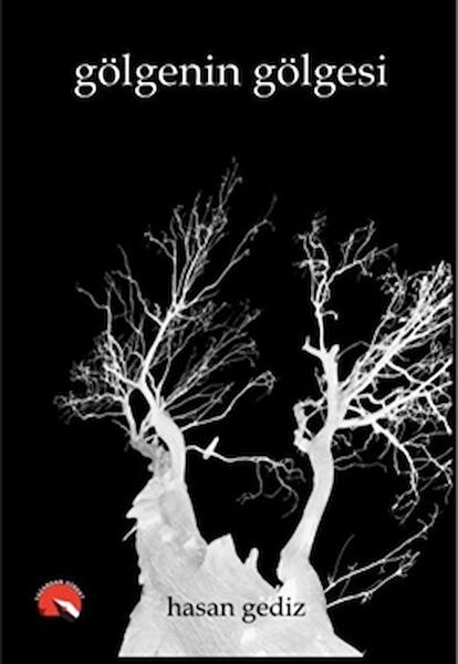 Yazardan Direkt Yayınevi Şiir