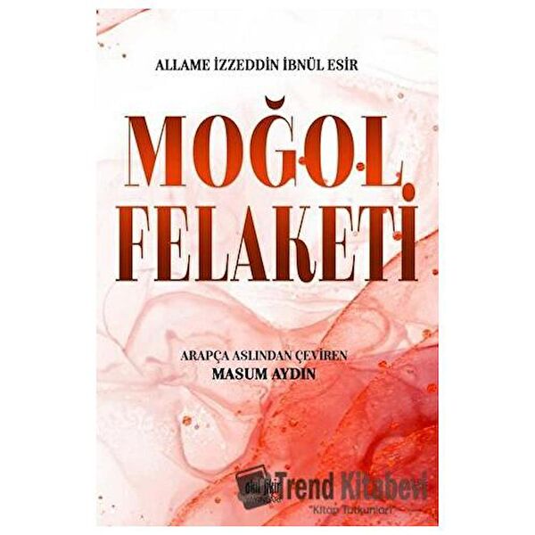 Akıl Fikir Yayınları Roman