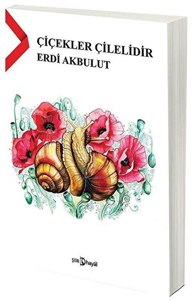 Hayal Yayınları Şiir