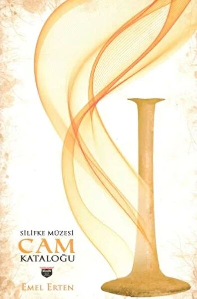 Bilgin Kültür Sanat Araştırma, Tarih