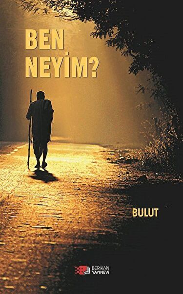 Berikan Yayınevi Roman