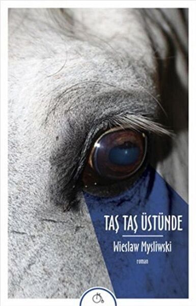 Aylak Adam Kültür Sanat Yayıncılık Roman