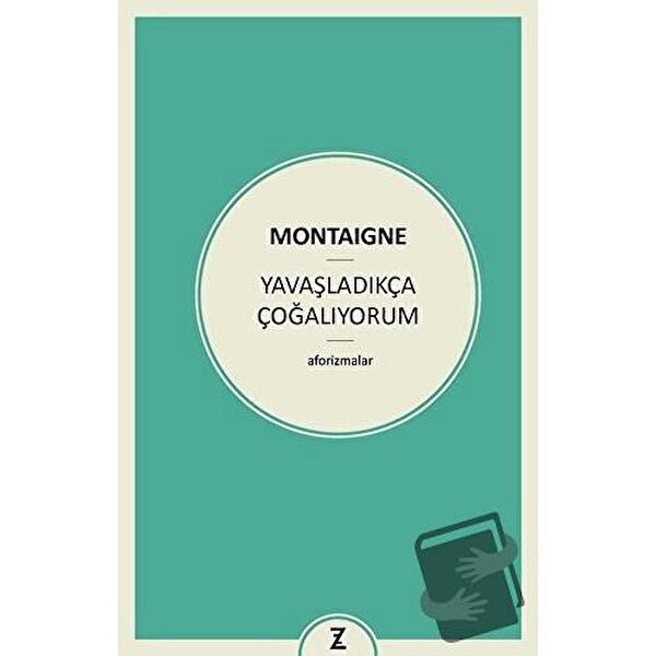 Zeplin Kitap Felsefe