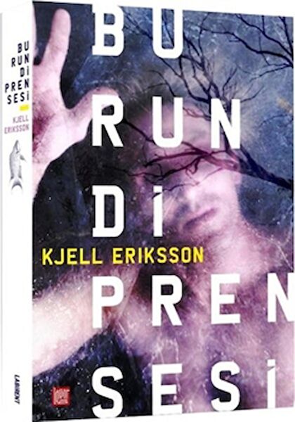 Labirent Yayınları Roman