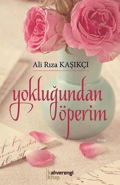 Kahverengi Kitap Deneme, İnceleme