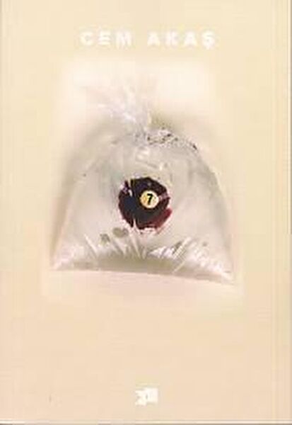 Altıkırkbeş Yayınları Roman