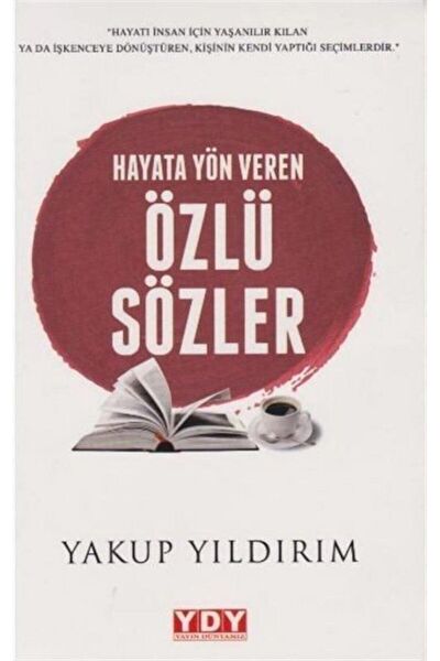 YDY Yayınları Deneme, İnceleme