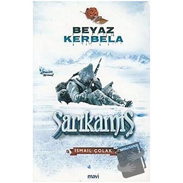 Mavi Yayıncılık Araştırma, Tarih