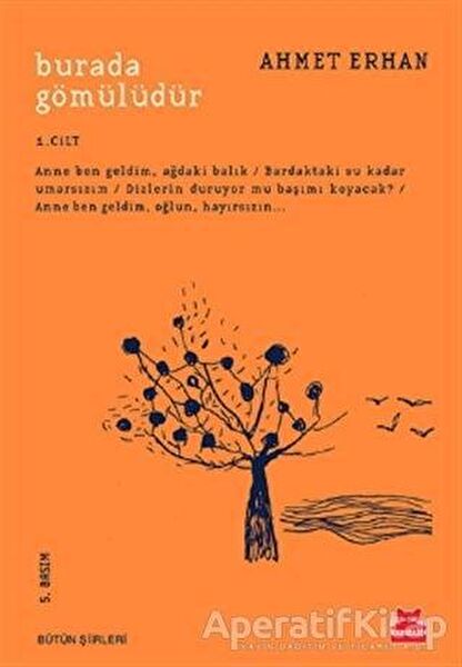 Kırmızı Kedi Yayınevi Şiir