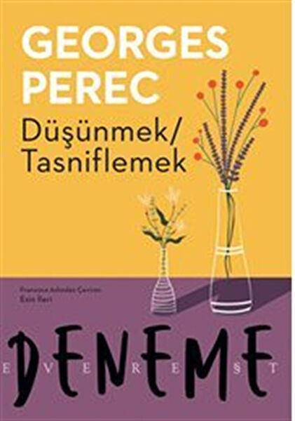 Everest Yayınları Deneme, İnceleme