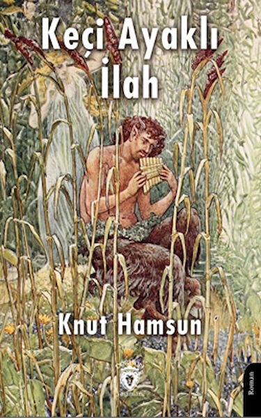 Dorlion Yayınları Roman