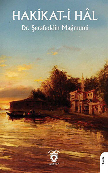 Dorlion Yayınevi Araştırma, Tarih