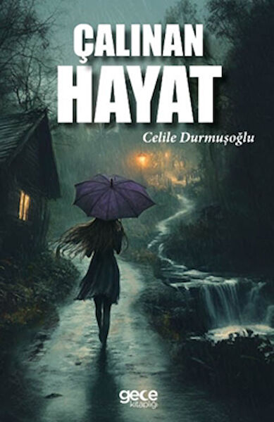 Gece Kitaplığı Roman