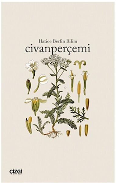 Çizgi Kitabevi Yayınları Roman