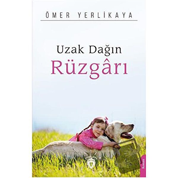 Dorlion Yayınları Roman