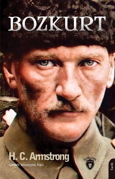 Dorlion Yayınları Araştırma, Tarih