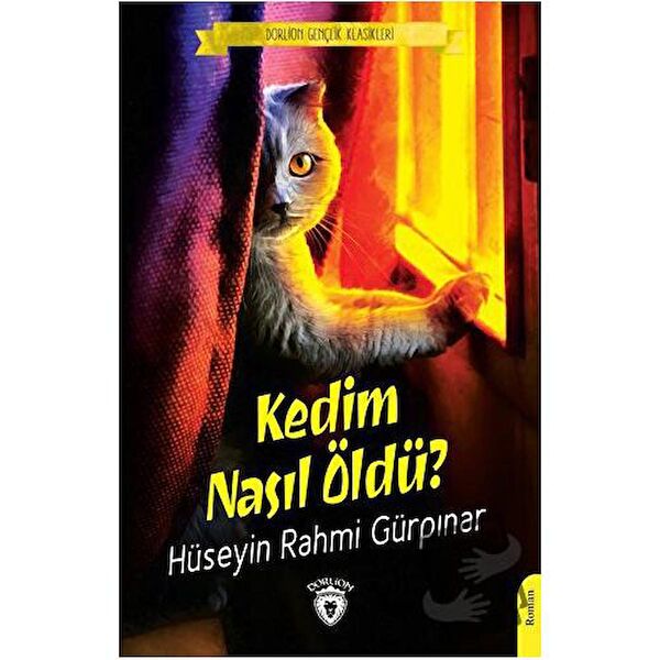 Dorlion Yayınları Roman