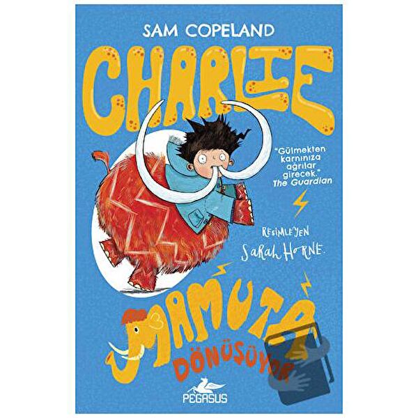 Pegasus Yayınları Çocuk Öykü, Masal