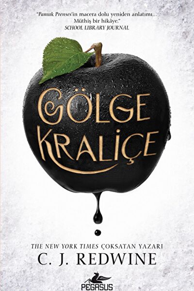 Pegasus Yayınları Roman