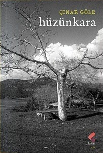 Klaros Yayınları Şiir