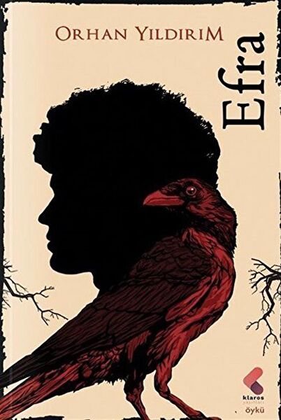 Klaros Yayınları Roman