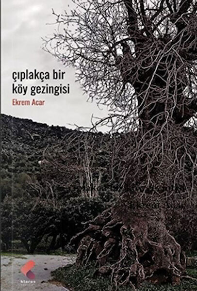 Klaros Yayınları Şiir