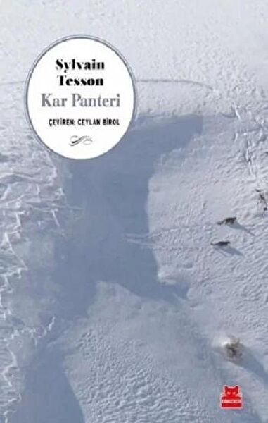 Kırmızı Kedi Yayınevi Roman