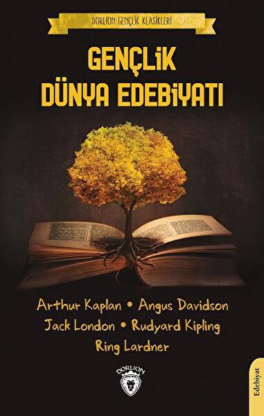 Dorlion Yayınları Roman