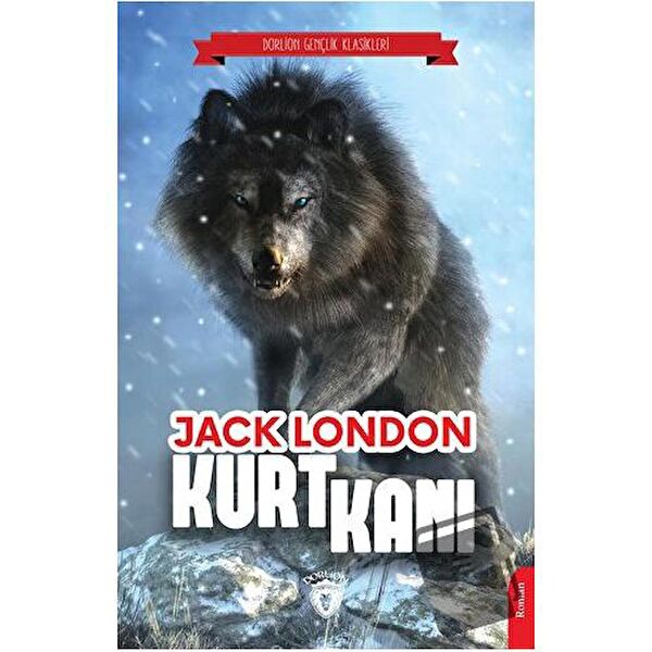 Dorlion Yayınları Roman