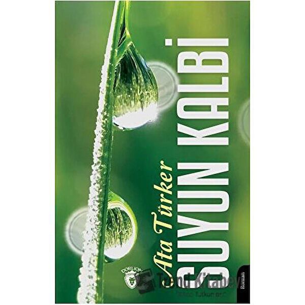 Dorlion Yayınları Roman